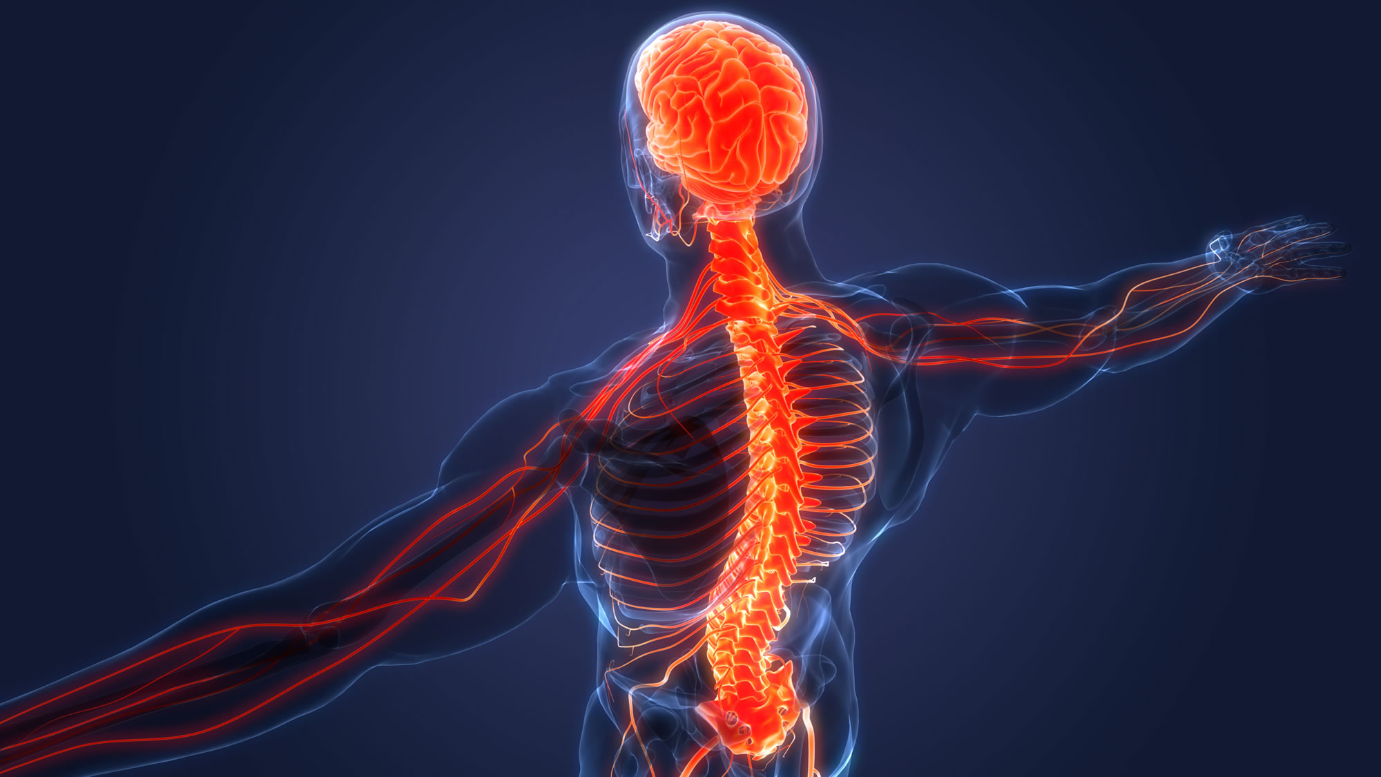 FDA-approves-spinal-cord-clinical-trial
