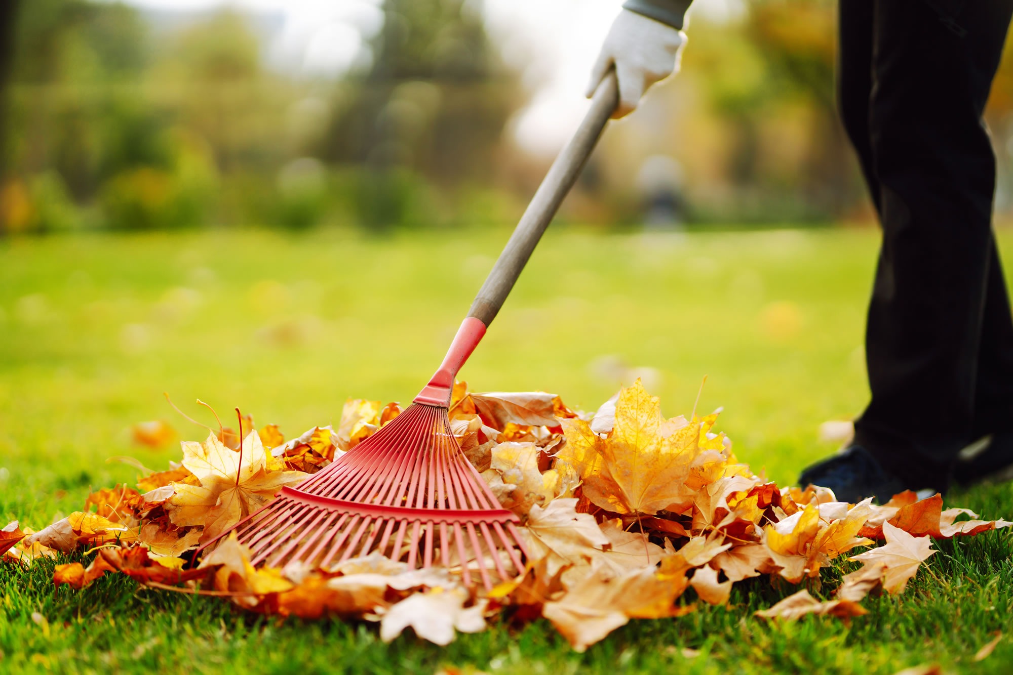 5-tips-for-home-safety-in-fall
