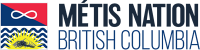 Metis Counselling Connection Program Logo